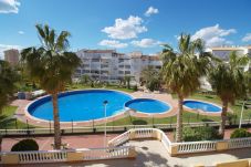 Apartamento en La Manga del Mar Menor - Amplio piso en planta baja con gran terraza