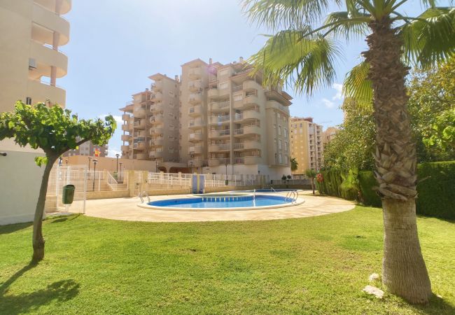 Apartamento en La Manga del Mar Menor - 2 dormitorios con amplia terraza en Veneciola