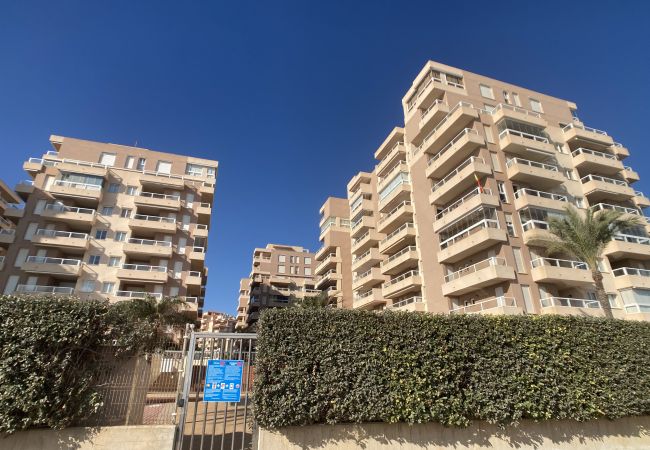 Apartamento en La Manga del Mar Menor - Increíble apartamento con enorme terraza en primera línea del Mediterráneo