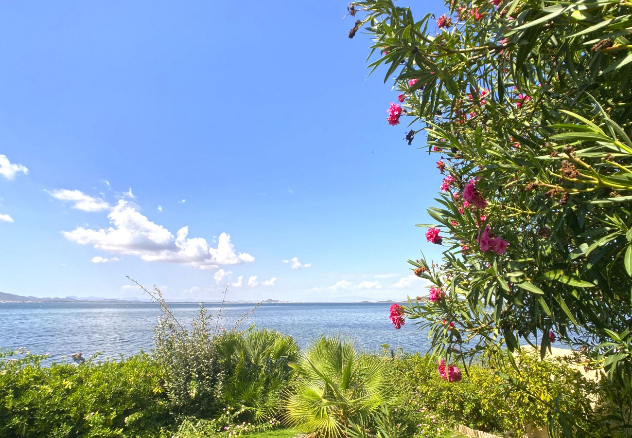 Villa in La Manga del Mar Menor - Stunning villa with private pool front line to the Mar Menor Villa in La Manga del Mar Menor - Stunning villa with private pool front line to the Mar Menor